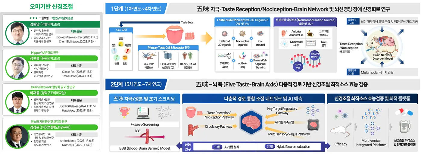 제2연구그룹 오미기반 신경조절 연구 상세 인포그래픽 : 그룹책임 김원남(약물의학교실), 참여 연구진 정한솔 · 이재웅 · 김상곤과 1단계(1차~4차 연도) 五味 자극-Taste Reception/Nociception-Brain Network 및 뇌신경망 장애 신경회로 연구, 2단계(5차~7차 연도) 五味-뇌 축 다층적 경로 기반 신경조절 최적소스 효능 검증